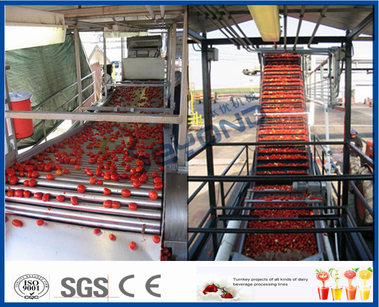 Low Energy Tomato Processing Machine Forced Circulation Evaporator 200KG Weight