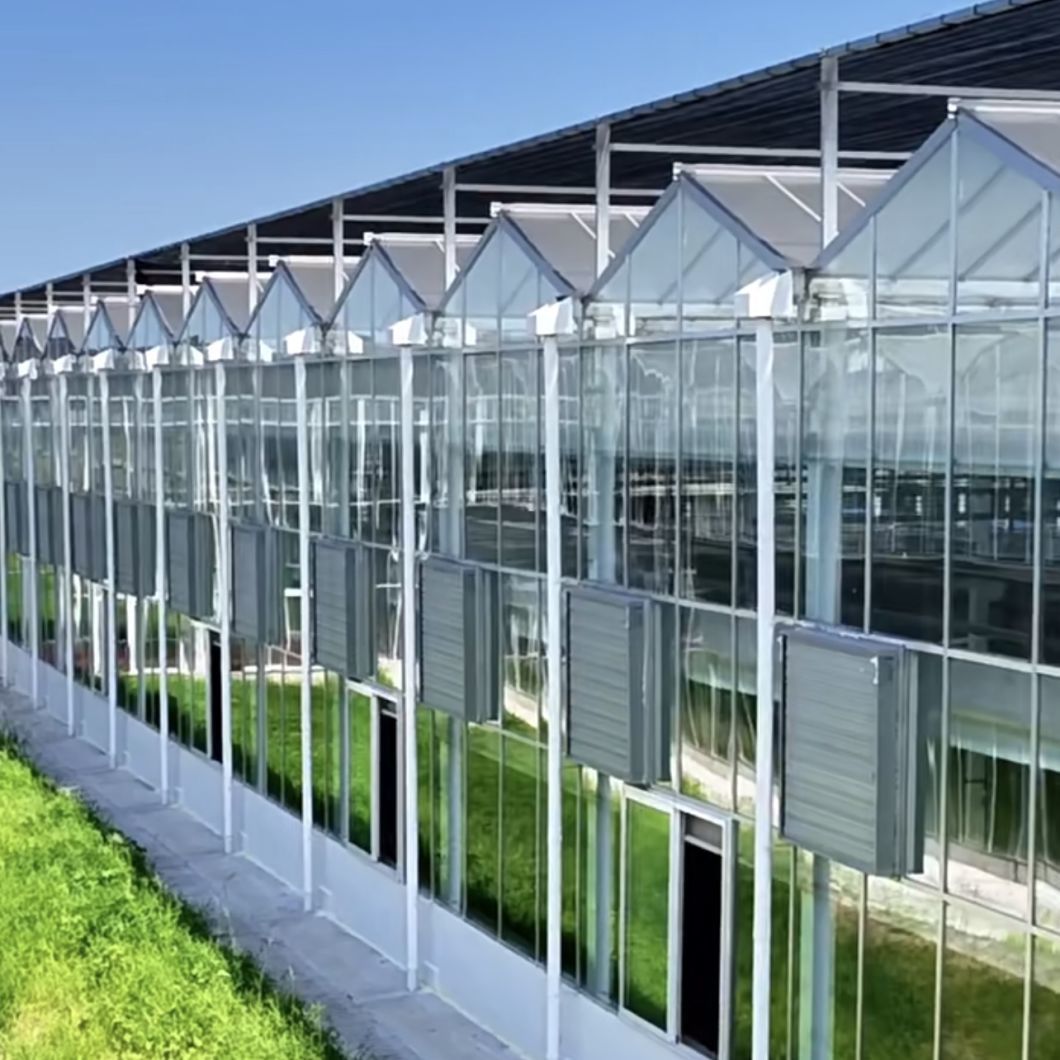 Glass Greenhouse Hydroponics System with Drip Irrigation