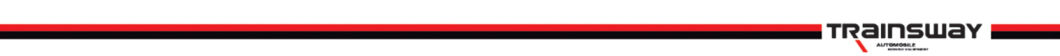 Garage Equipment Heavy-Duty Tilt-Back Tire Changer with Assist Arm Trainsway Zh665ra