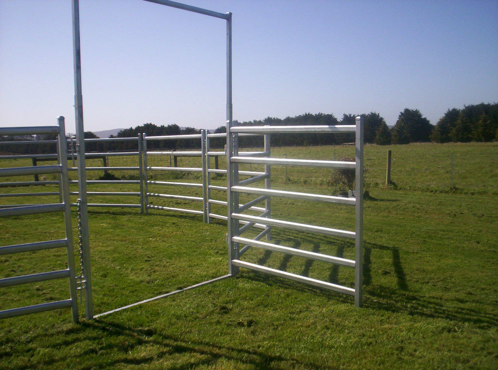 20 Panel Horse Arenas Inc Gate, Round Yard, Cattle Fences, Corral 14m Diameter