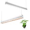 Buy cheap 300 Watt Greenhouse LED Grow Lights For For Indoor Plants Water Resistance from wholesalers