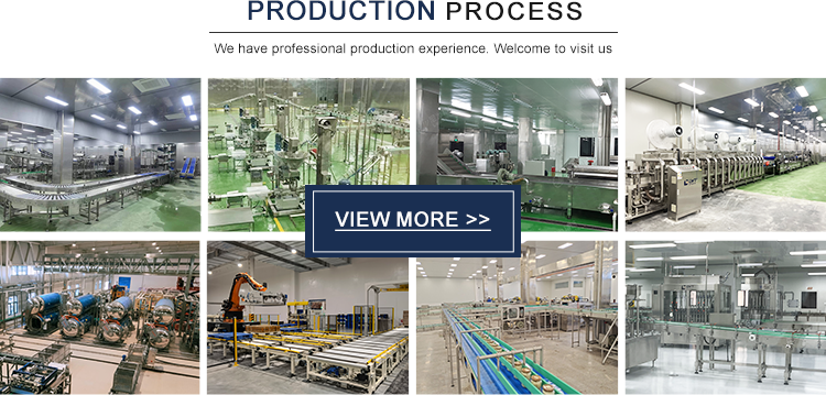 1500 KG Tomato Paste Processing Machine Leadworld Chilli Sauce Honey Filling Machine