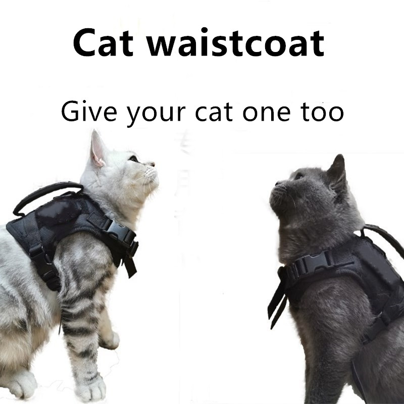 cat tactical harness