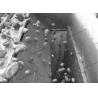 Buy cheap Polyurethane Wear Resistant Lining from wholesalers
