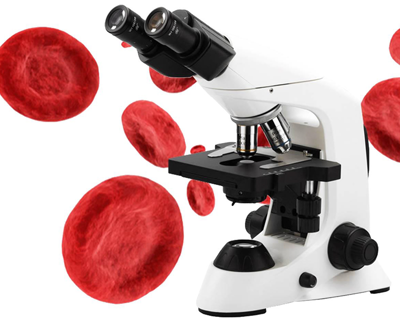 Multifunction Compound Optical Microscope Biological Monocular 1000x Microscope
