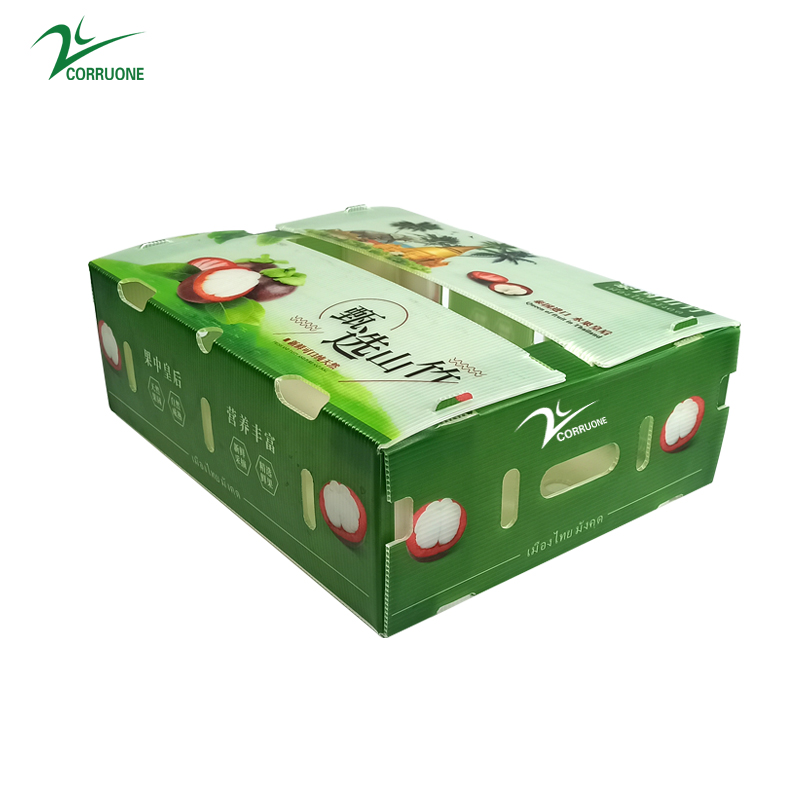 Mangosteen PP Corrugated Box Glossy Apple Coroplast Box Customized