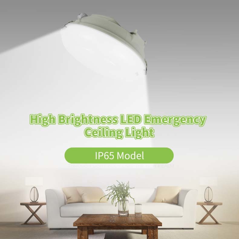 Waterproof LED IP65 Ceiling Mounted Emergency Lights