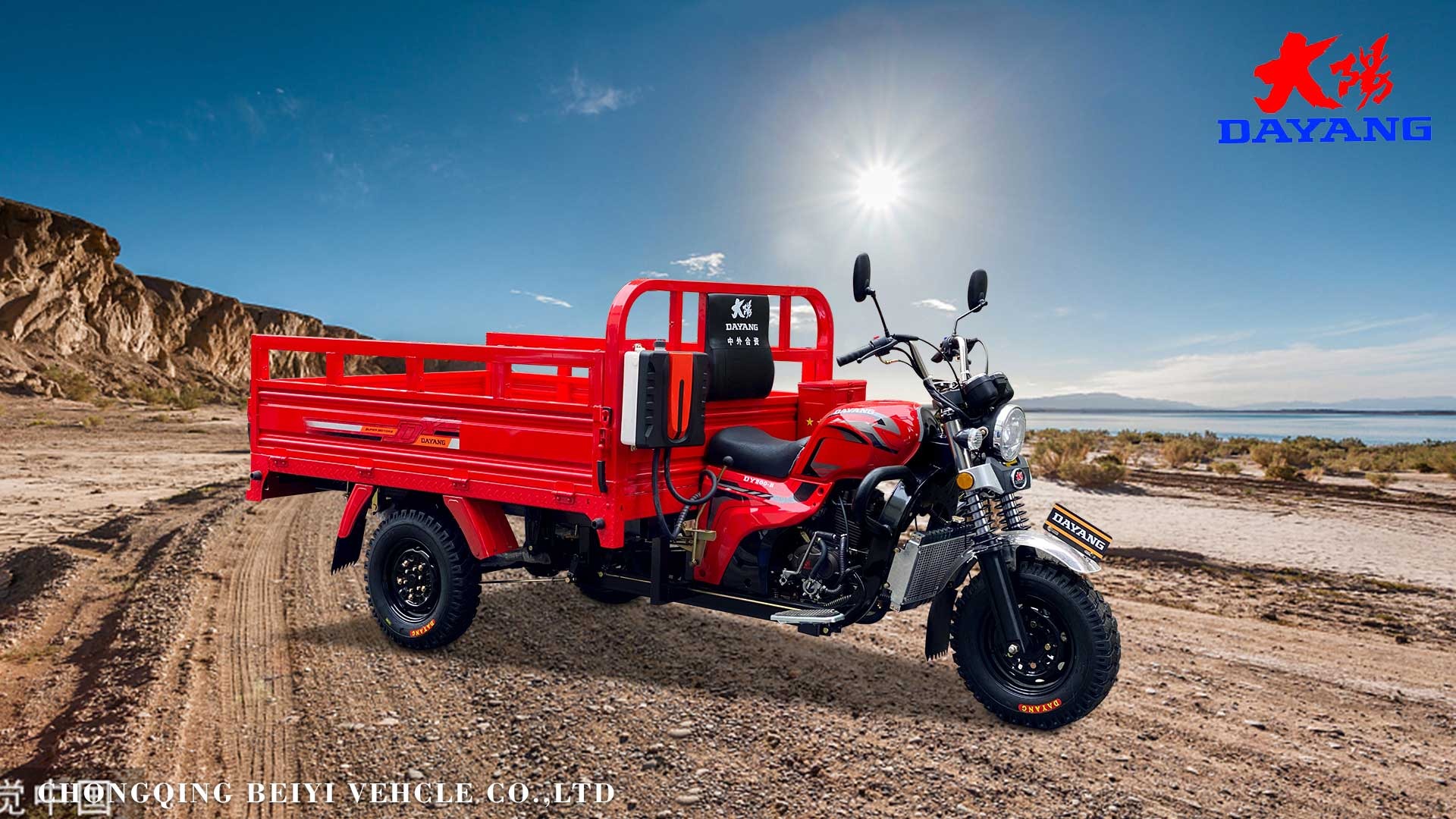 Performance and Efficiency Gas Powered Docker Tricycle Motorcycle for Nigeria Market