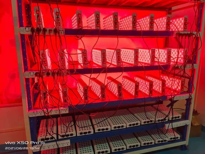 1000w Full Body Red Light Therapy Device 660nm 850nm Infrared Light Panel