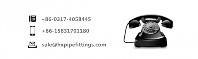 Carbon steel pipe nipple barrel nipples with BSP NPT male thread galvanized forge pipe nipples