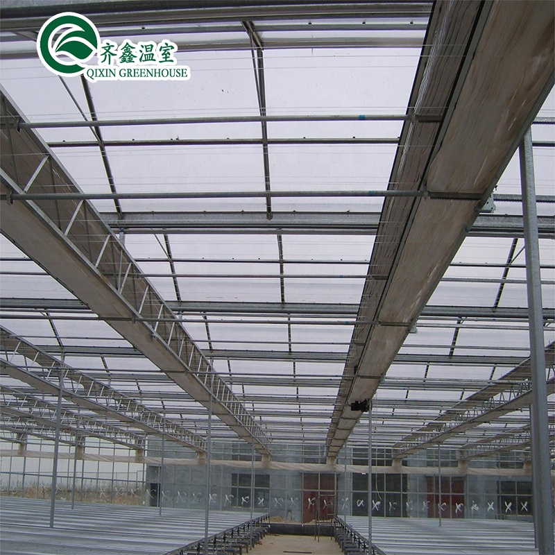Multi-Span Greenhouse Film Customized for UV Protection and Optimal Growing Conditions