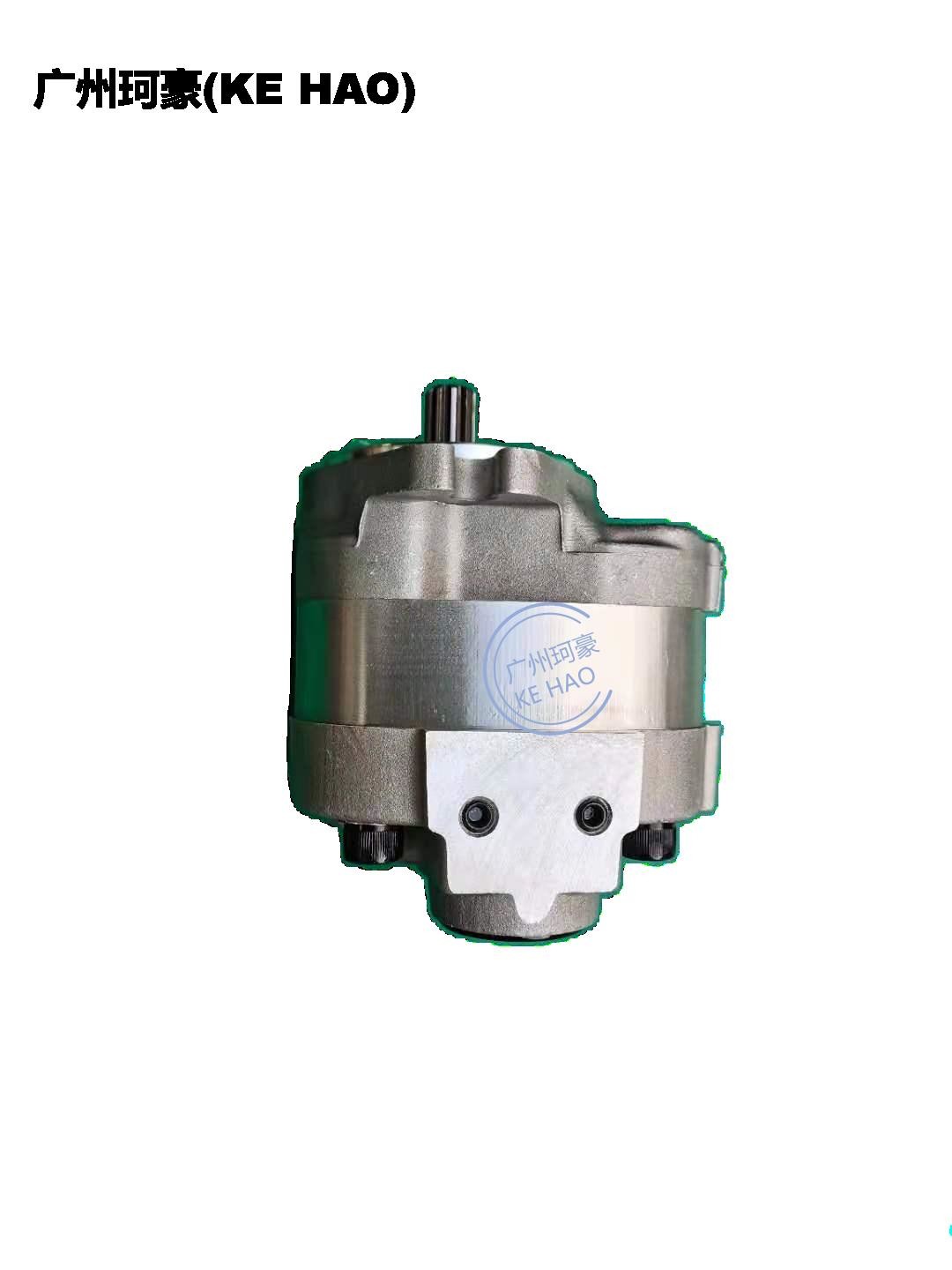 Standard 705-22-26260 D41E D41P Pump Assembly