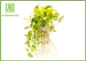 Buy cheap Handled Natural Bamboo Flower Pots For Green Garden Plants Customized Shape product
