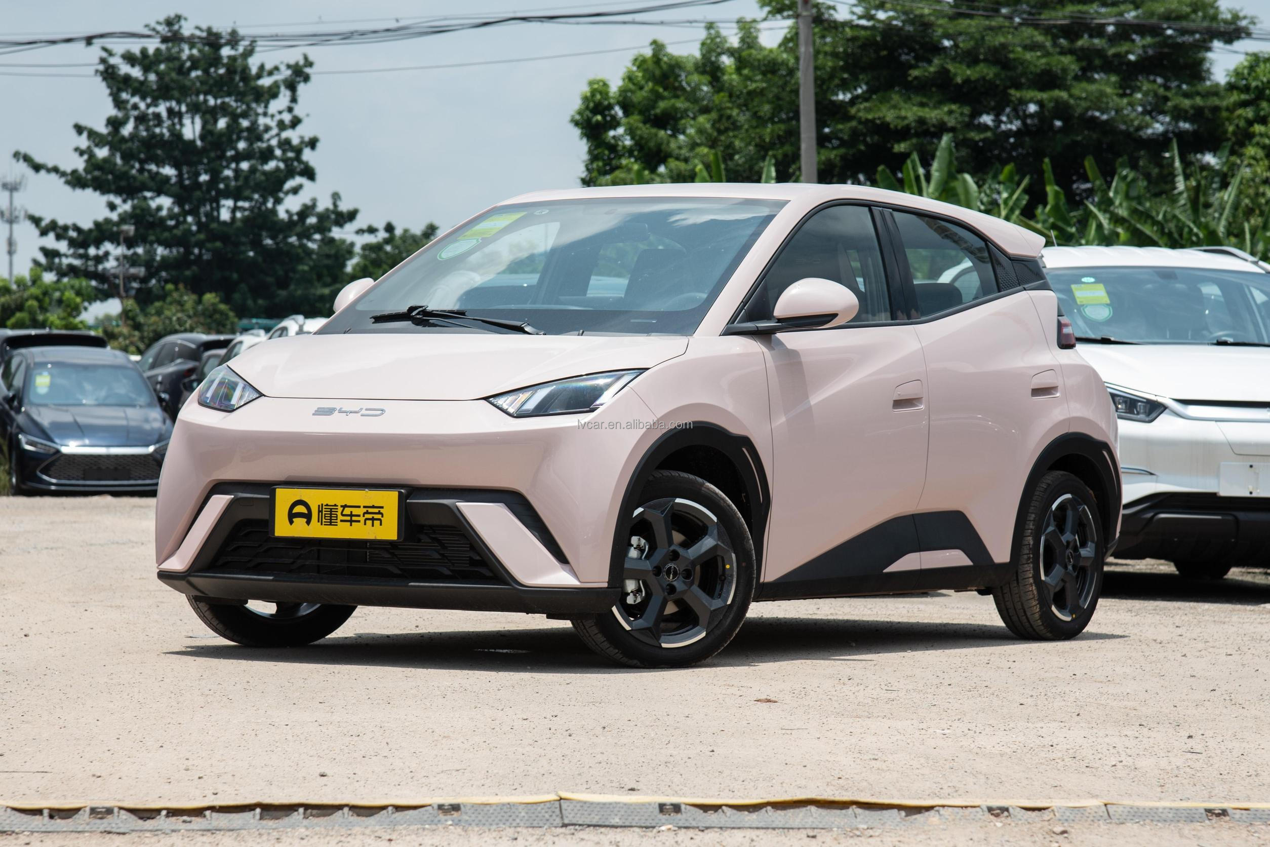 2023 BYD Seagull 5-Door 4-Seater Electric Vehicle Ev Car with 30.08kWh Battery Capacity