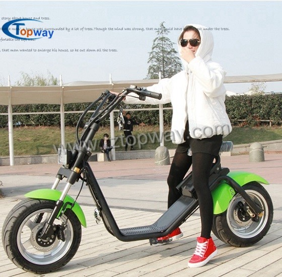 Big wheel electric bicycle halley scooter driving 45km/h speed