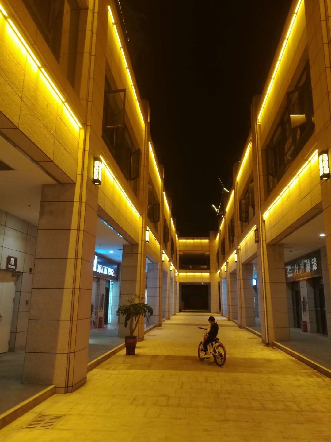 Miracle Bean high quality DMX512 ip65 waterproof color outdoor LED linear lights
