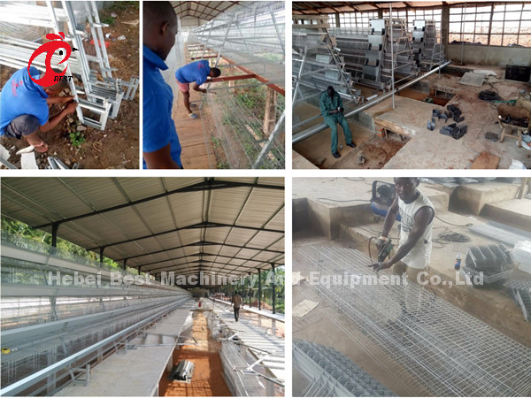 2022 Hot Sale Battery Poultry Layer Cage , coated A Frame Layer Cages 25 years Emily