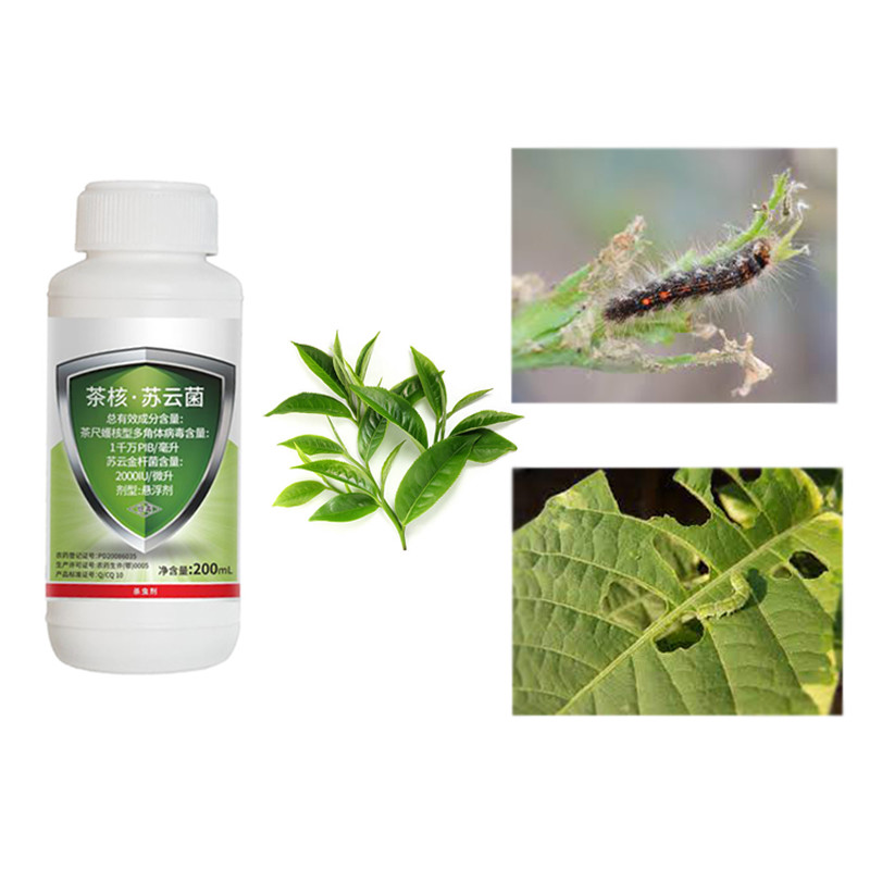 Biological Tea Tree Insecticide EoNPV Farming Pesticides Nuclear Polyhedrosis Virus
