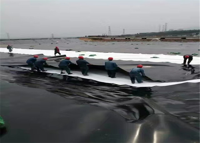 1mm Polyethylene Geomembrane