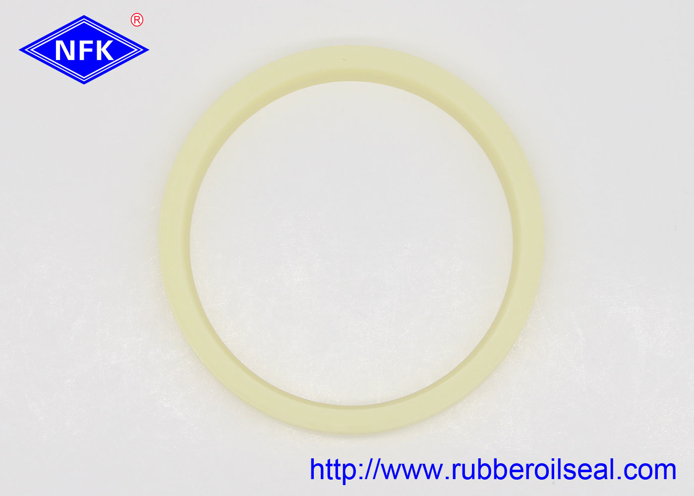 DSI DKBI DKBI3 DKBZ Hydraulic Dust Seals For Heavy Load Hydro Cylinder