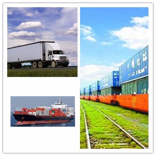 Vehicle Exhibition Terrace 40hc Luxury Expandable Container House