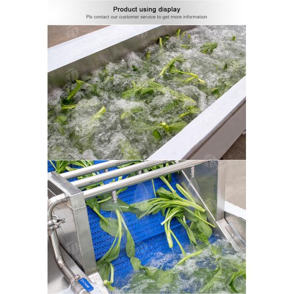 3KW Bubble Circulating Surfing Fruit And Vegetable Washing Machine Ozone Sanitization Bubble