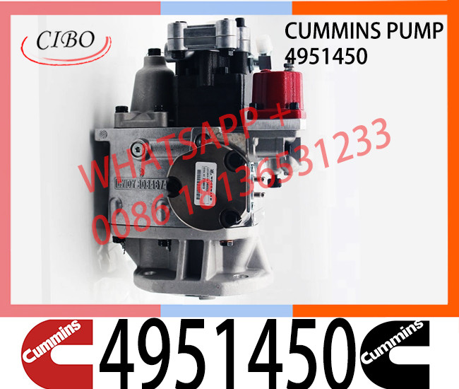 Cummins PT PUMP Pt Fuel Pump 3075882 4951450 For NTA855 /NT743/NT495 PT PUMP
