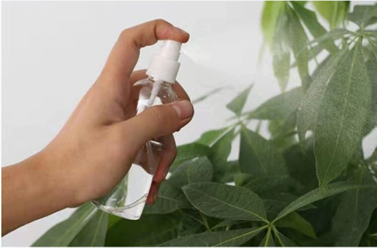 cosmetic 30ml 50ml 60ml 100ml 120ml round empty PET fine mist plastic spray bottle for perfume fine mist Sprayer Bottles