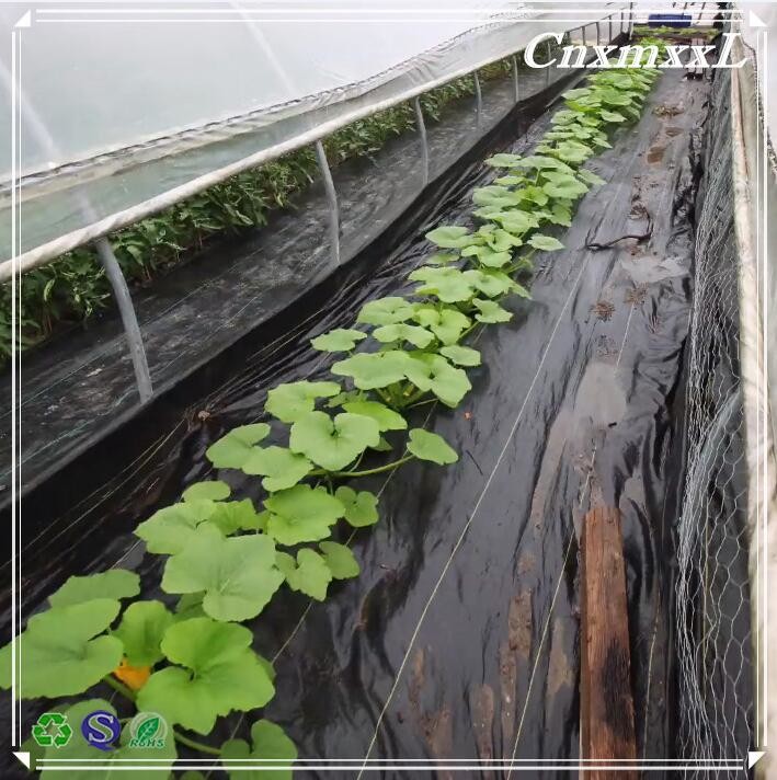 Vinyl 70g Shade 95% Plastic Weed Mat Water Permeable Weed Barrier