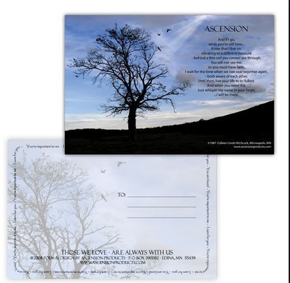 PLASTIC LENTICULAR custom lenticular postcards pp pet 3d lenticular postcard pricing lenticular postcards for sale