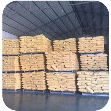 2024 years China Factory supply bulk Dried and cool Sunflower seeds sunflower kernel
