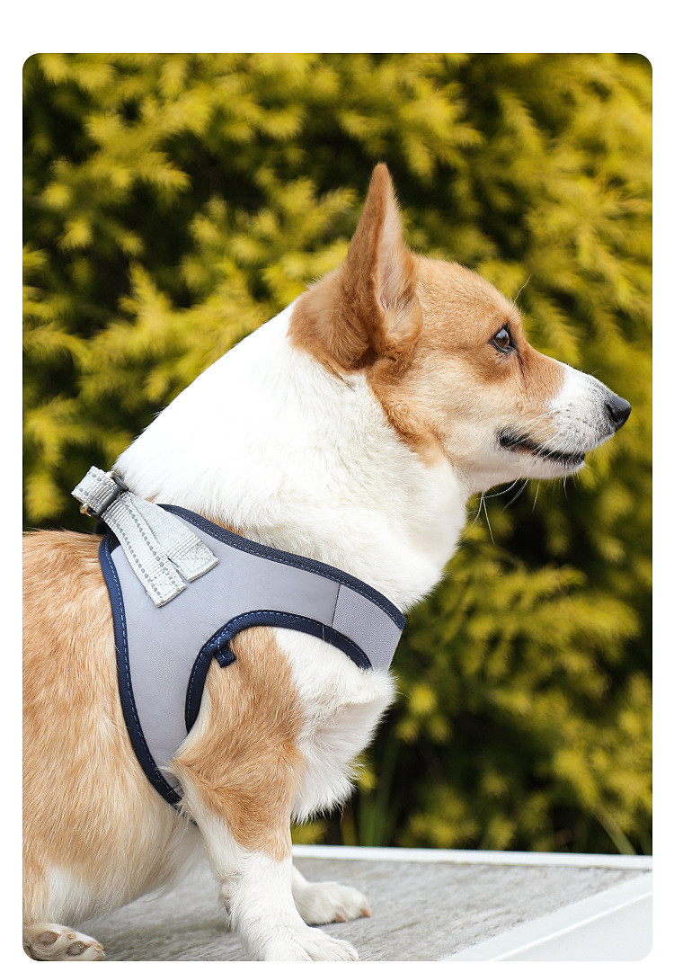 Pet Polyester Leash Breathable Mesh Harness For Dog Walking Small Dogs And Cats