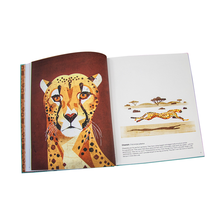 Full Color Story Kids Book Printing C2S Art Paper offset paper