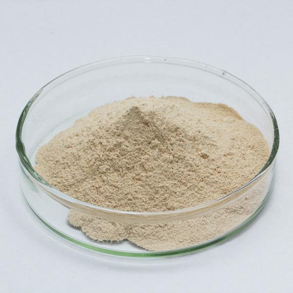 Pharmaceutical Enzymes Of Pancreatic Juice Customized Pancreatin Powder Food