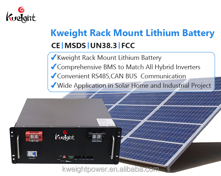 RS485 Lithium Battery Module Rack Mount Lifepo4 Battery For Solar Pv System