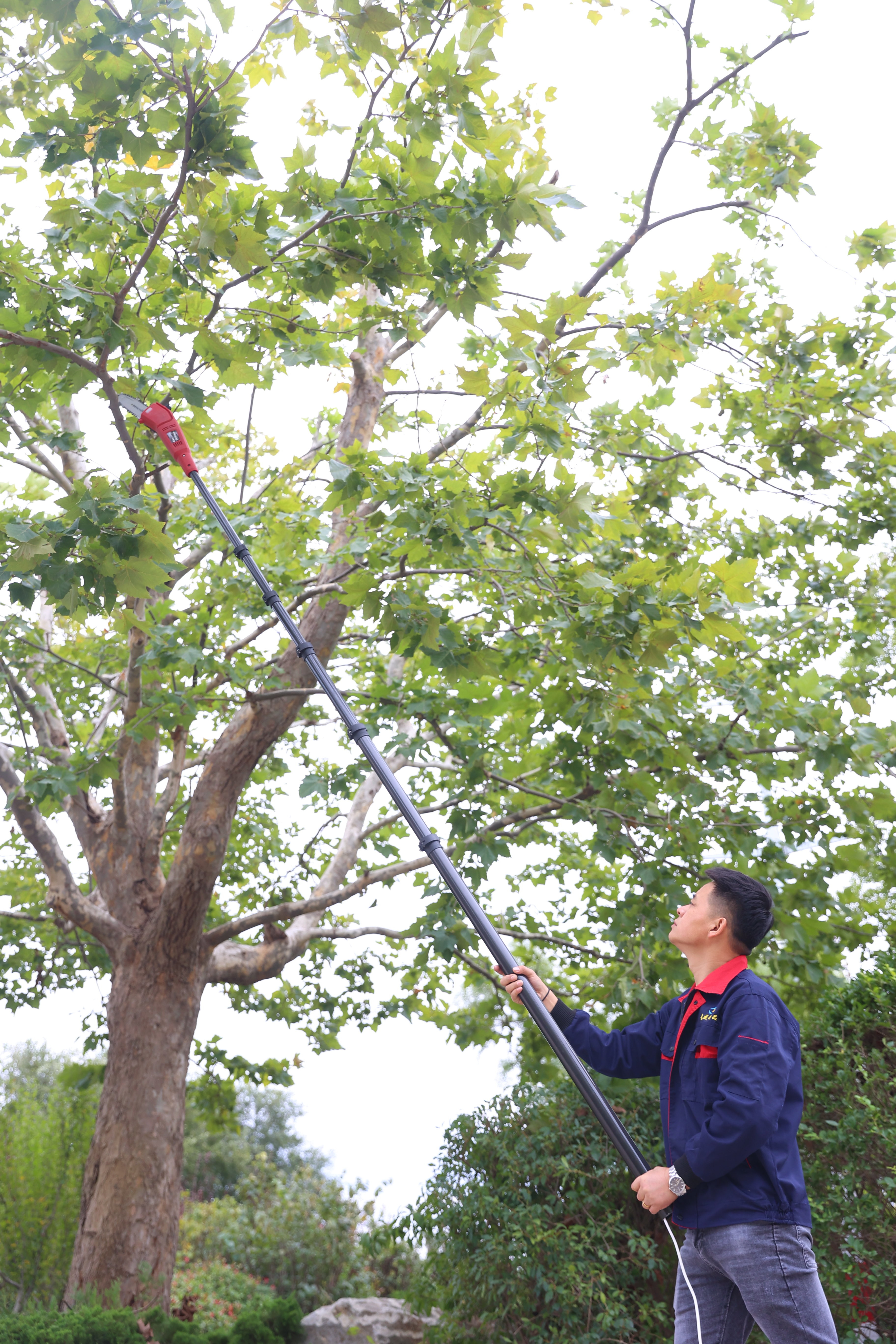Anti Rotation Carbon Fiber Harvesting Pole 50ft 60ft 70ft Chainsaw Extended Pole