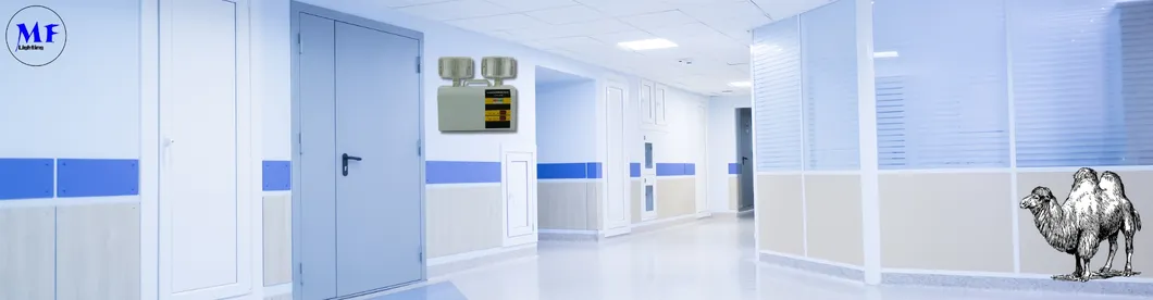 LED Double Heads Rechargeable Emergency Light For School Hotel Basement Public Place