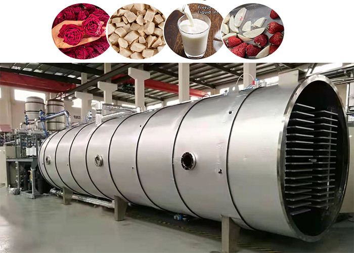 PLC Control Industrial Vegetable Freeze Dryer 300Kg/Batch