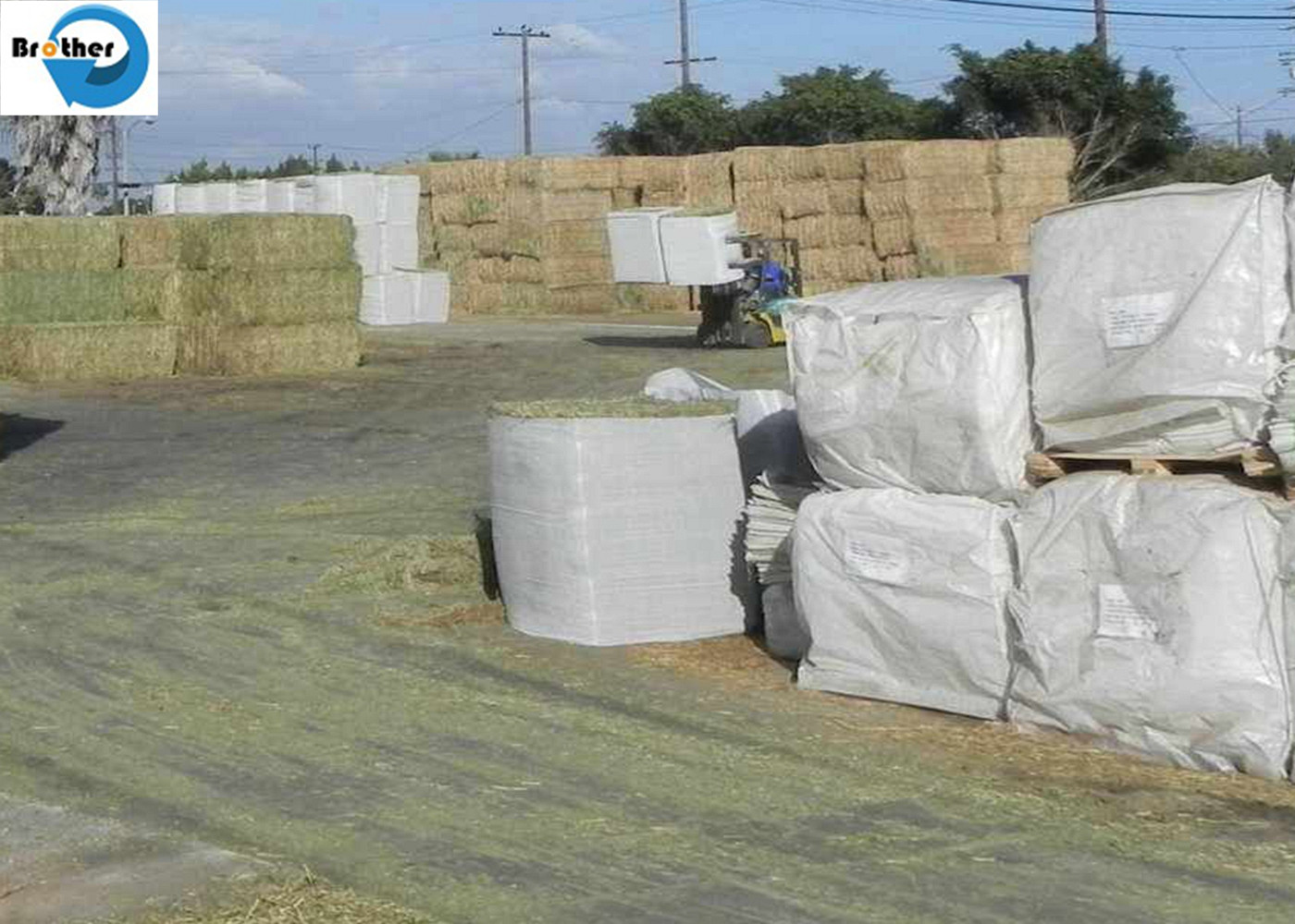China Factory UV Stability Hay Round Bale Net Wrap,Gravure Printing Hay Bale Covers , Waterproof Hay Bale Wrap Materials