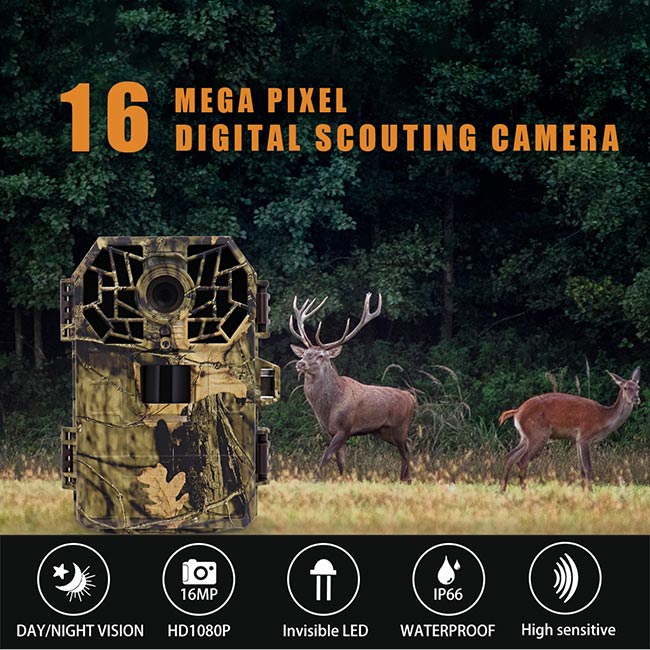 16MP 2in TFT Screen Digital Trail Camera IP66 Waterproof