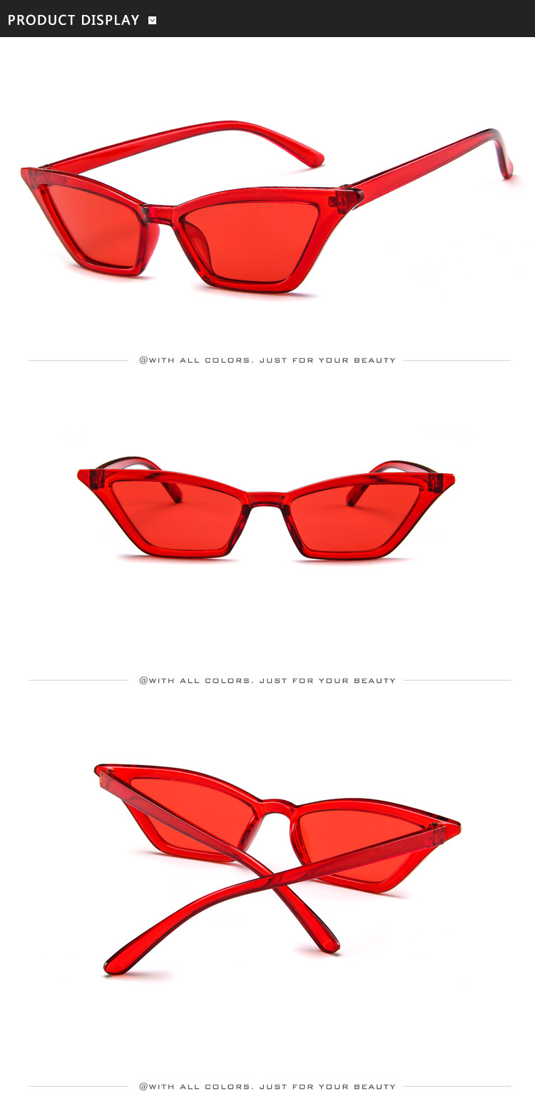 Outdoor Anti Glare PC Glasses UV400 Cat Eye Hot Sale Sunglasses