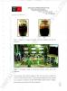 YANTAI BAGEASE PRODUCTS SUPPLIES MANUFACTURING CO.,LTD. Certifications