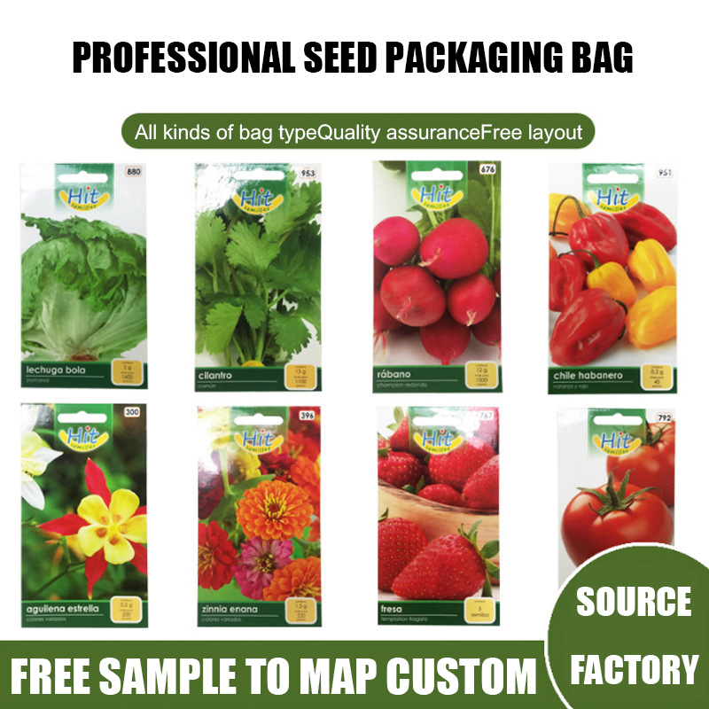 Gravure Printing 3 Side Seal Bag for Vegetable Plastic Fruit Agricultural Seed Packaging