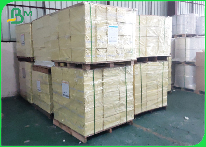 250gsm 300gsm + PE Coated Brown Kraft Paper For Paper Plates