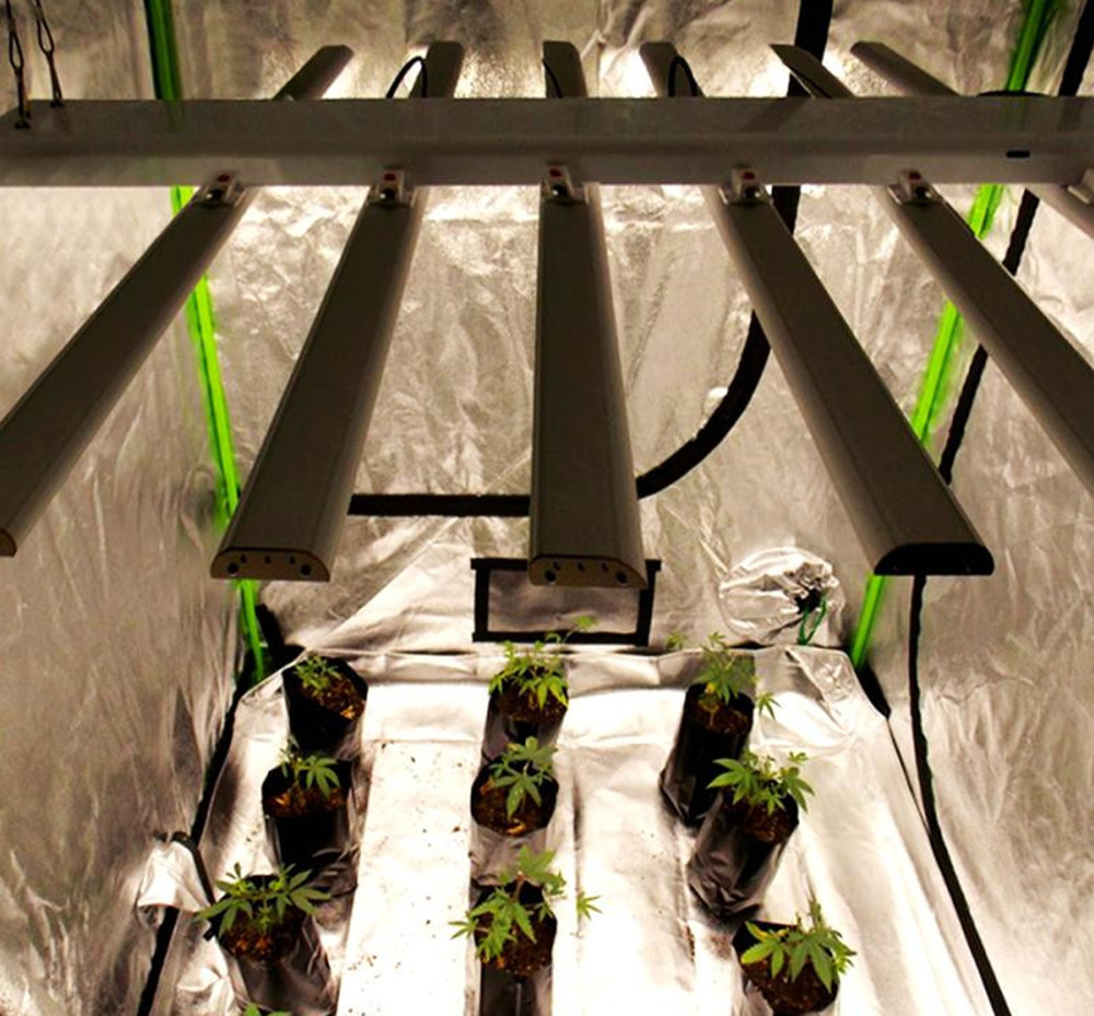 Fruit Vegetable LED Grow Light Bar Smart Control 650W High PPE 2.7μMol/J B6-9THS
