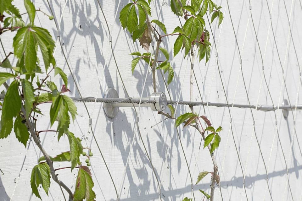Stainless Steel Wire Rope Green Wall Mesh 304 304L 316 316L