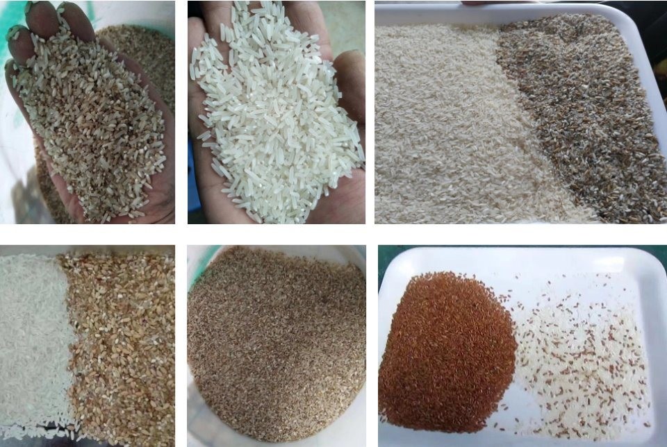 High Output Thailand Paboiled Millet Rice Color Sorter Machine 5 Chute