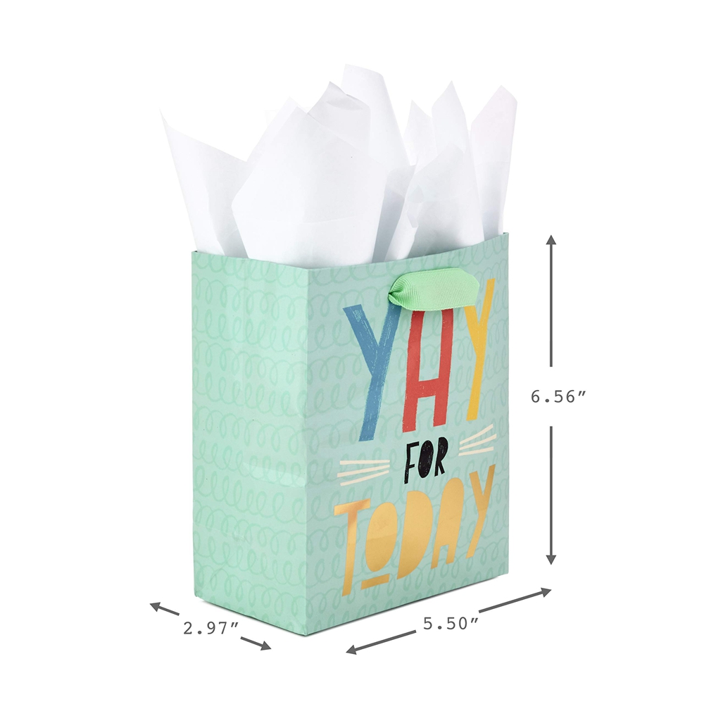 Handmade Customizable Plain Kraft Paper Bags With Logo for Eco-Friendly Packaging