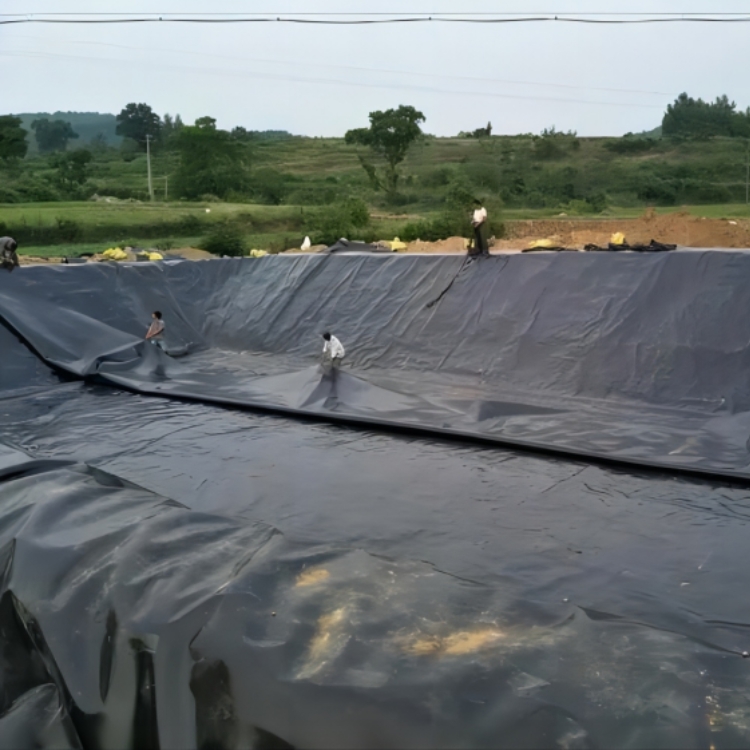 Directly from Manufacturers 0.5mm HDPE Smooth Geomembrane Fish Pond Liner for Projects