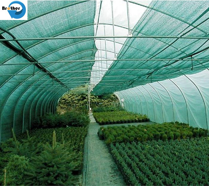Good Quality Outside Shading Net for Lowing The Temperature of Greenhouse/Poultry